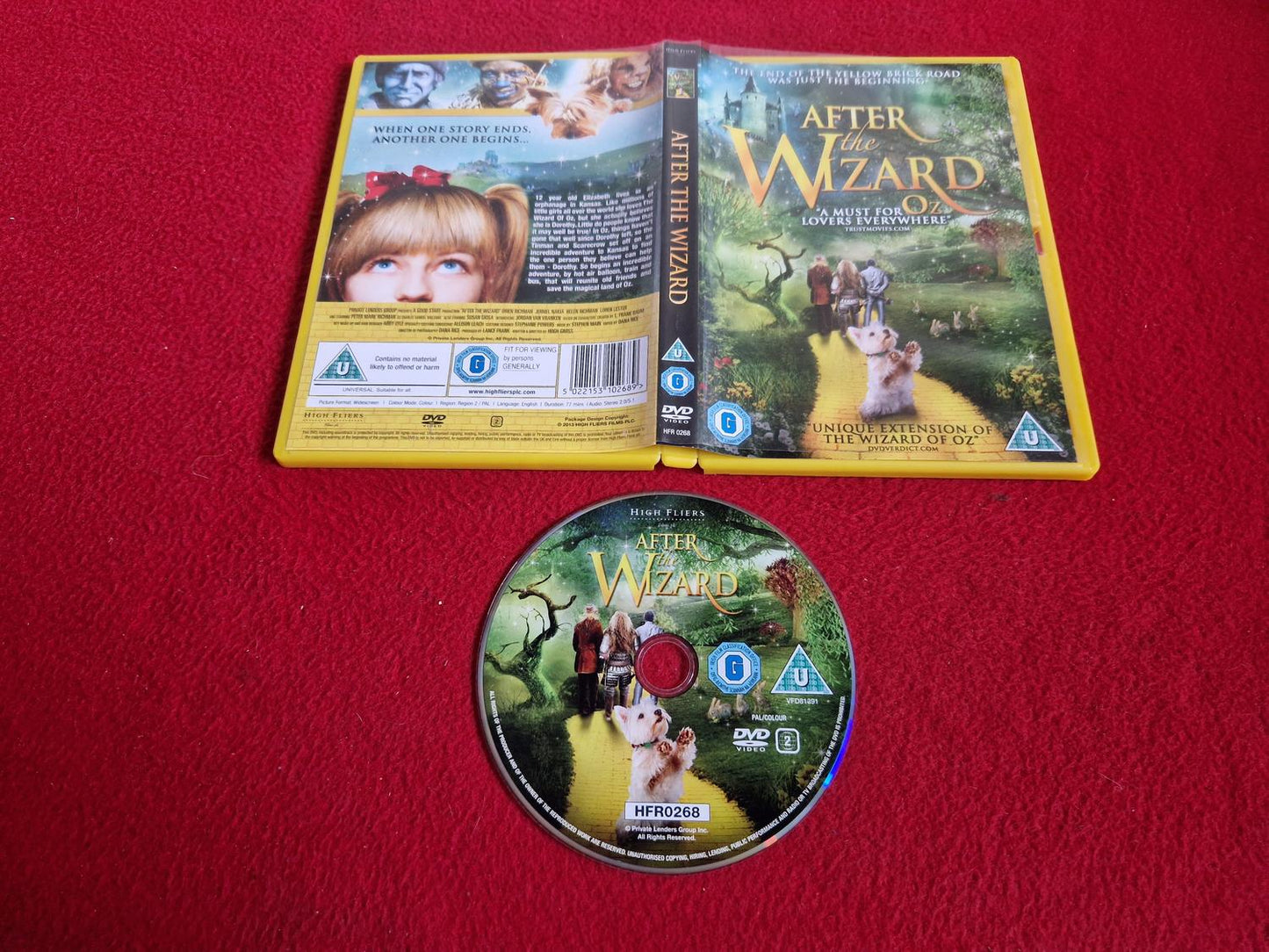 AFTER THE WIZARD DVD
