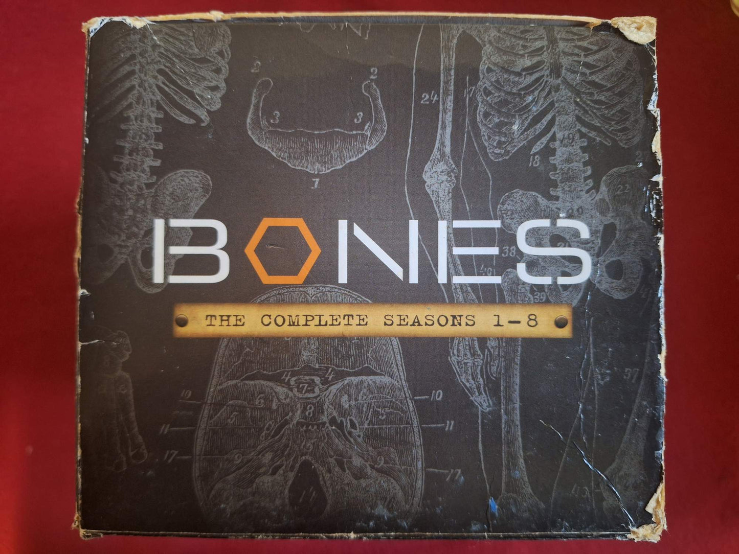 BONES SEASONS 1 - 8 BOX DVD