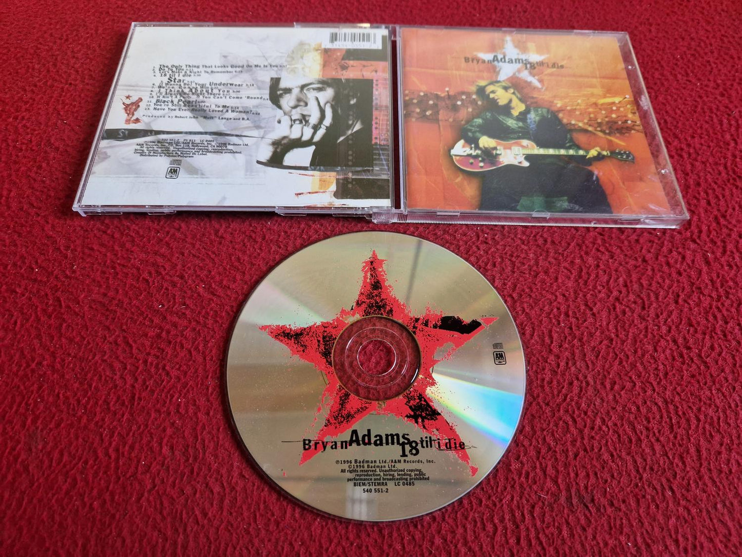 BRYAN ADAMS 18 TIL I DIE CD
