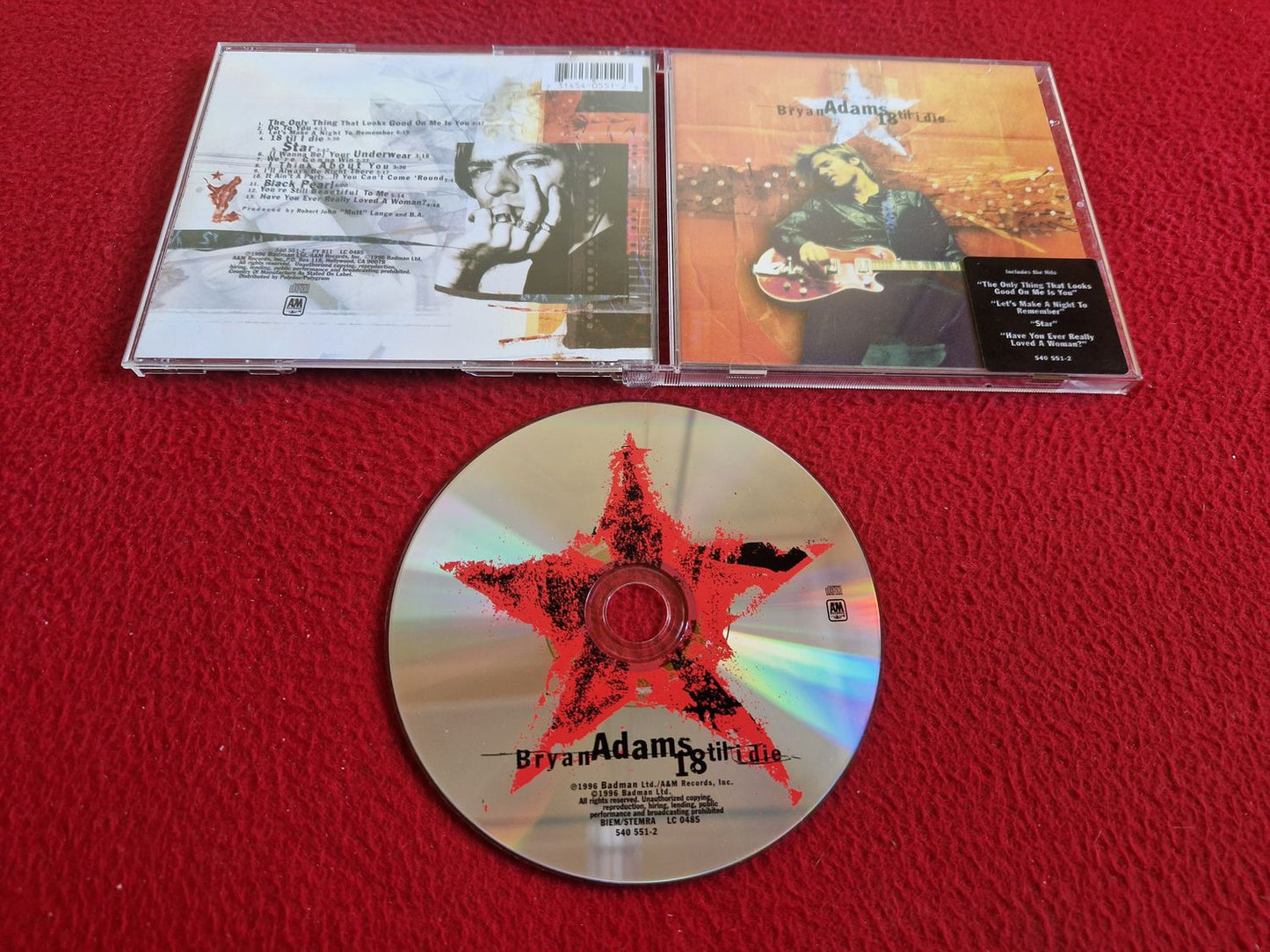 BRYAN ADAMS 18 TIL I DIE CD