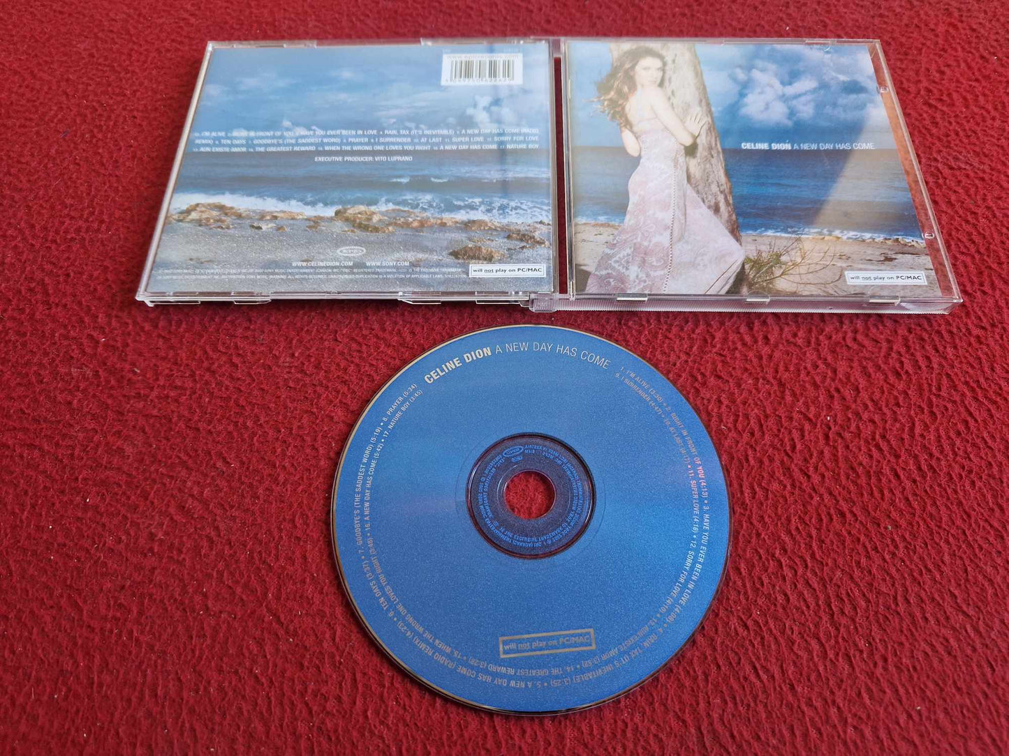 CELINE DION A NEW DAY HAS COME CD