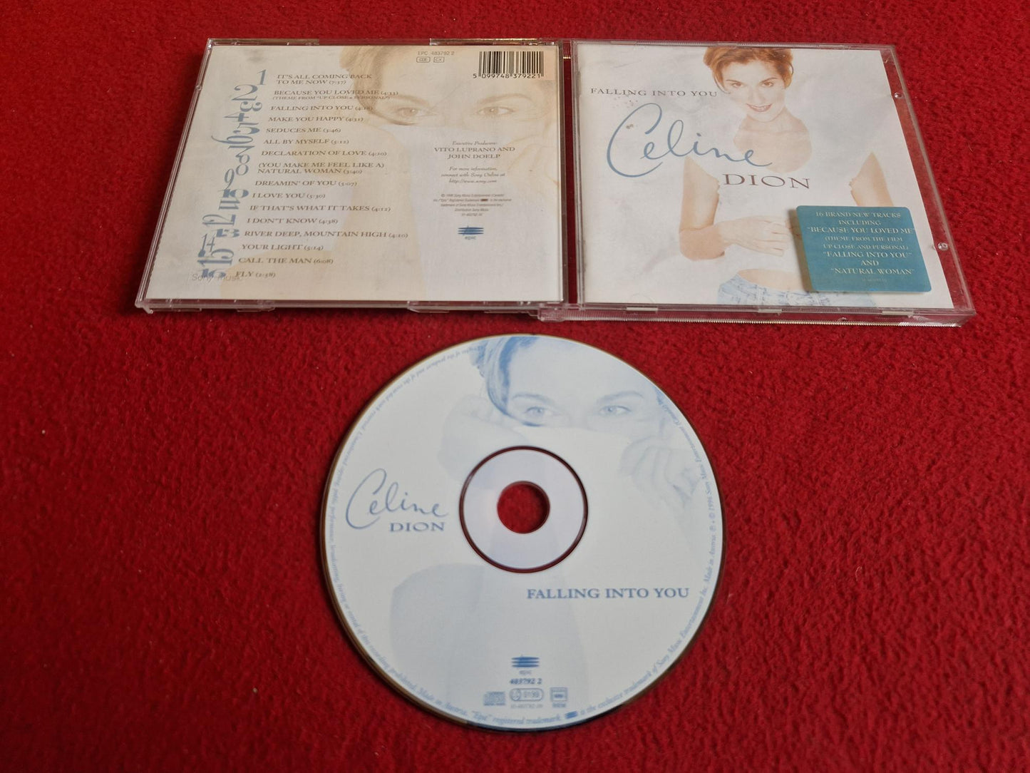 CELINE DION FALLING INTO YOU CD
