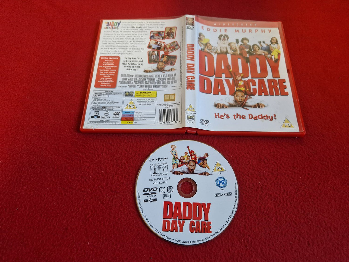 DADDY DAY CARE DVD