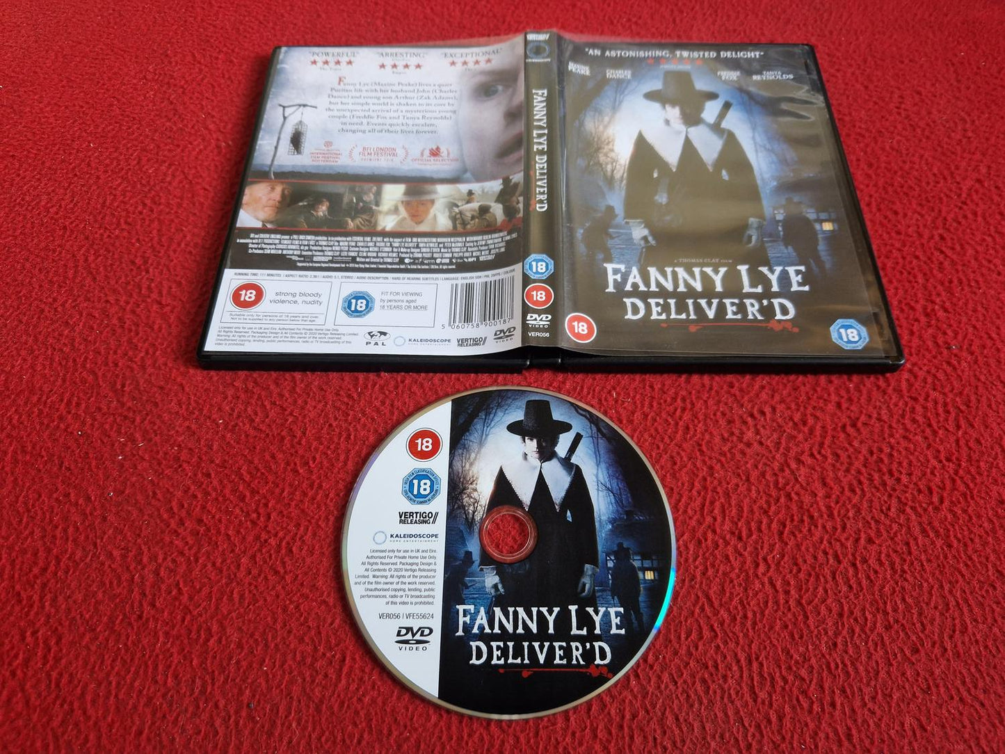 FANNY LYE DELIVER'D DVD