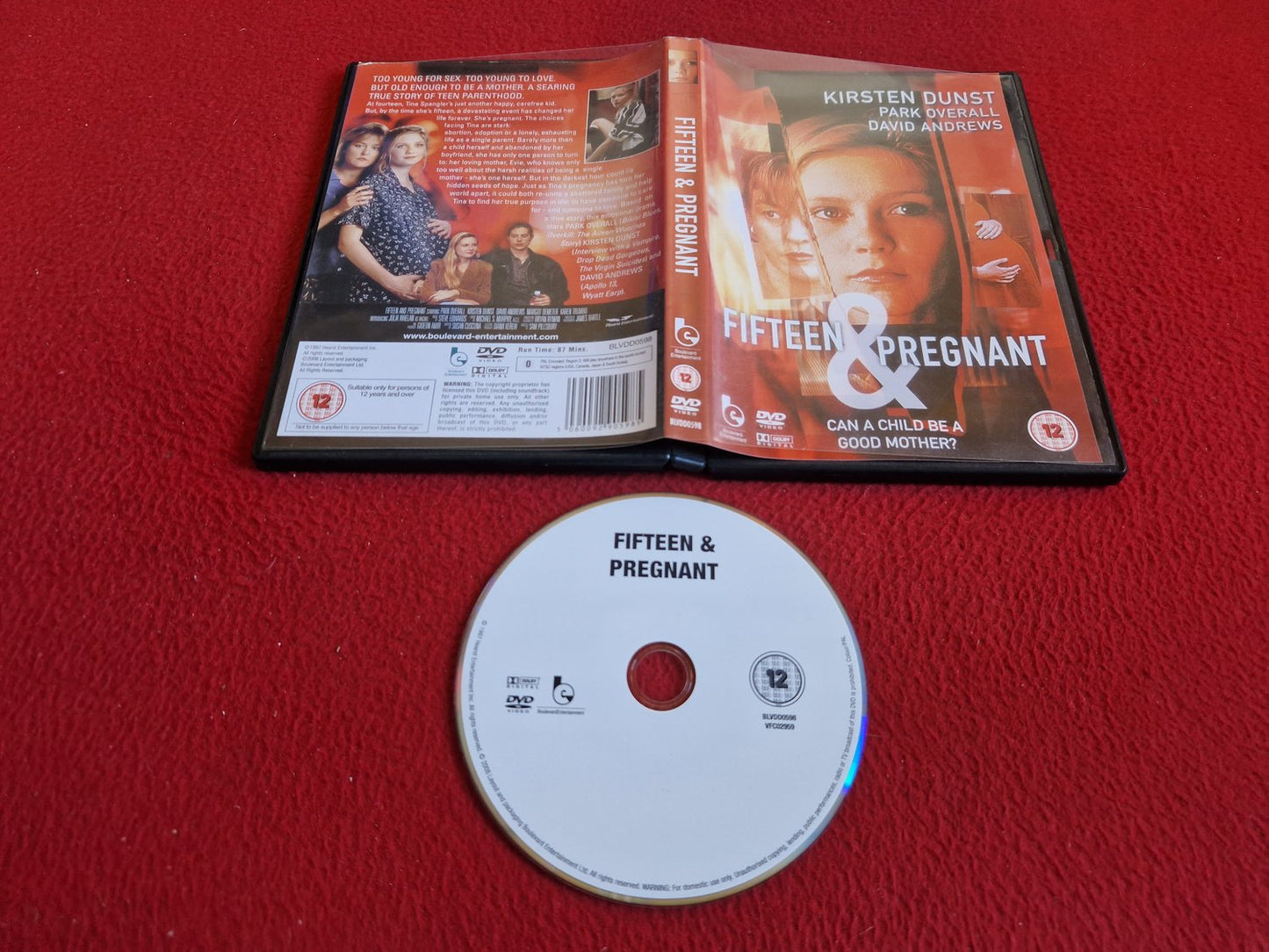 FIFTEEN & PREGNANT DVD