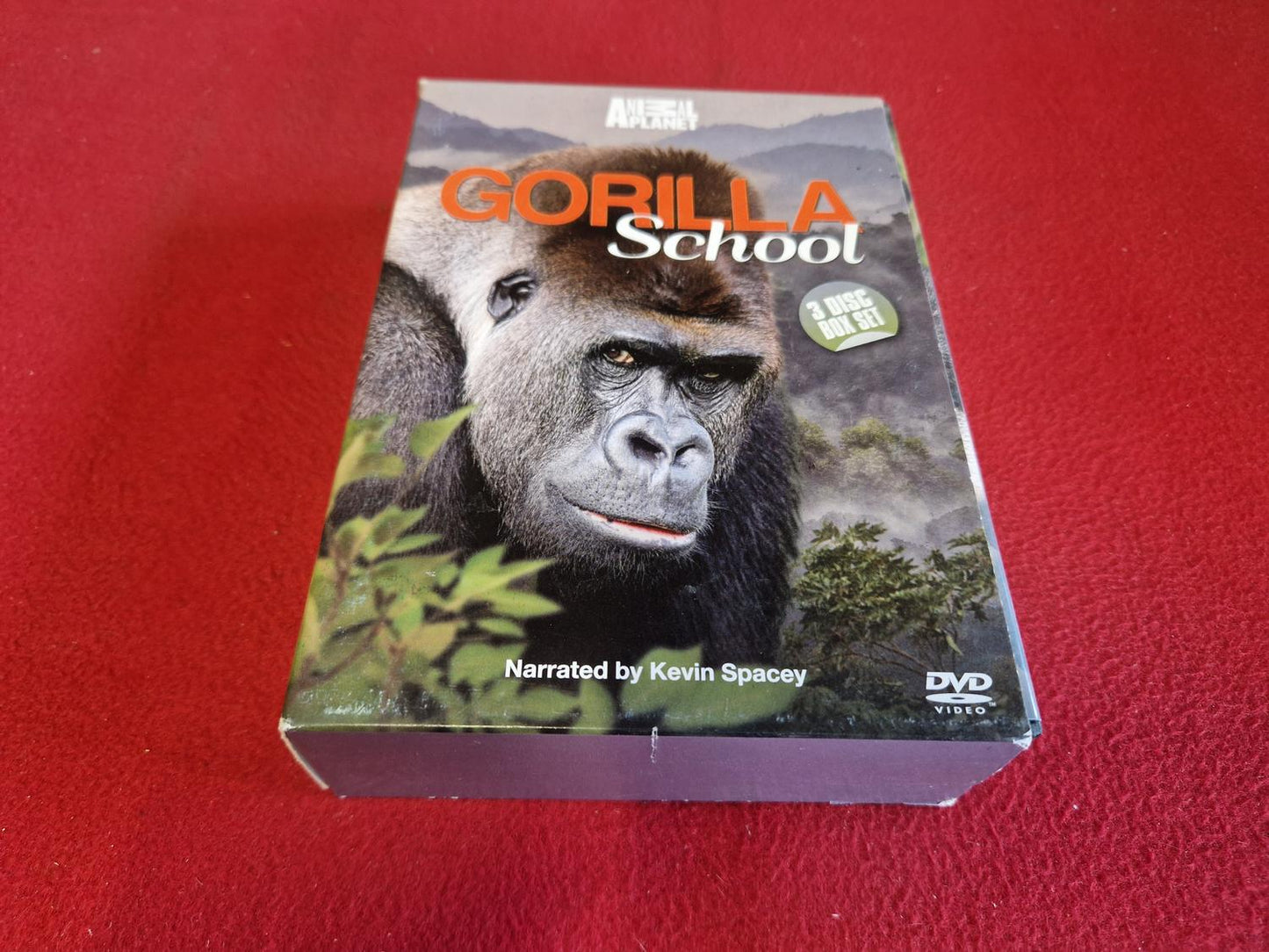 GORILLA SCHOOL BOX till DVD