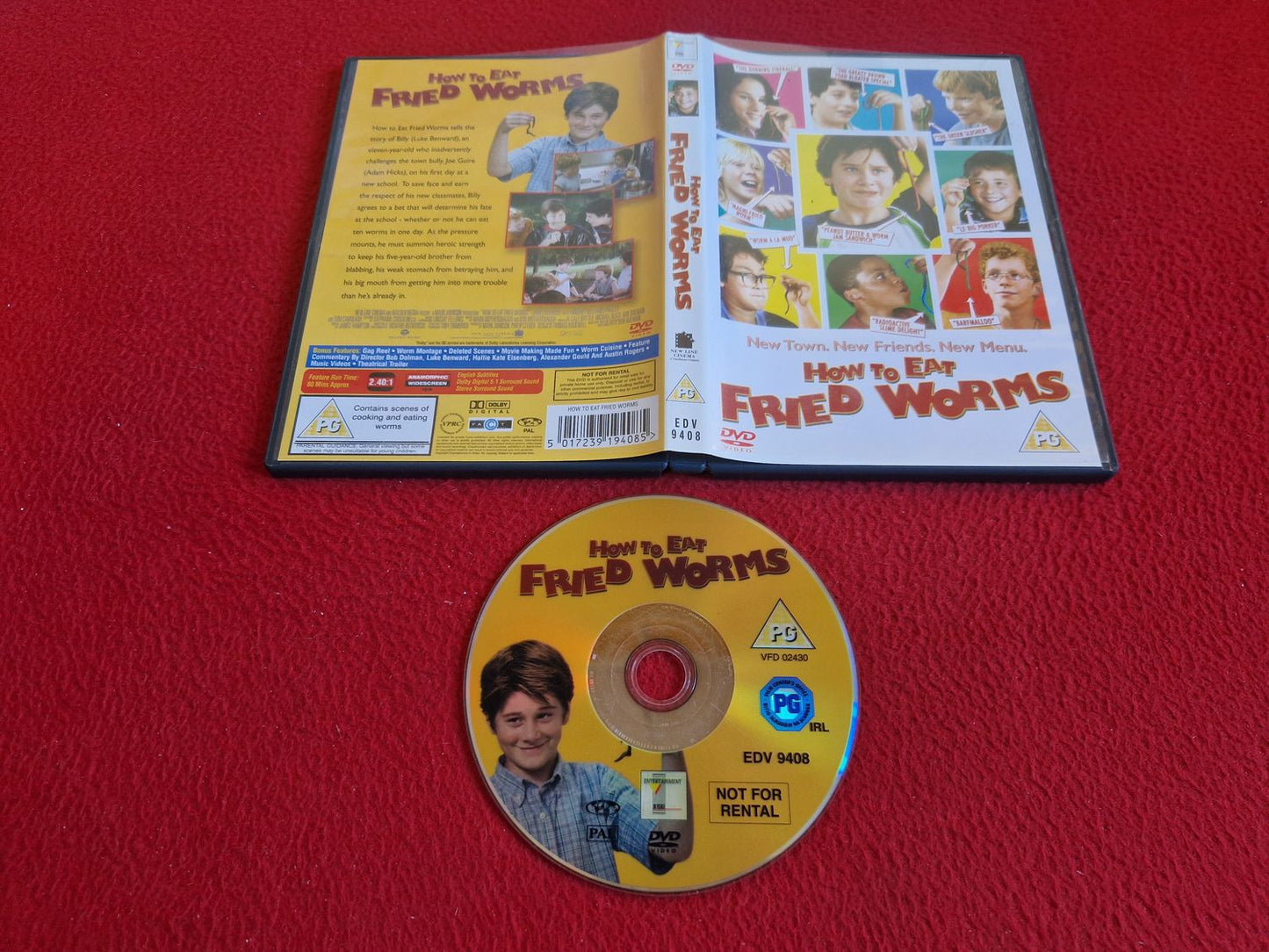 HOW TO EAT FRIED WORMS DVD