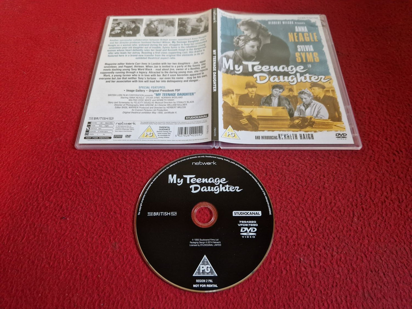 MY TEENAGE DAUGHTER DVD