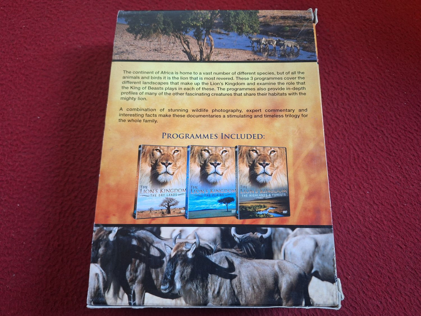THE LION'S KINGDOM BOX DVD