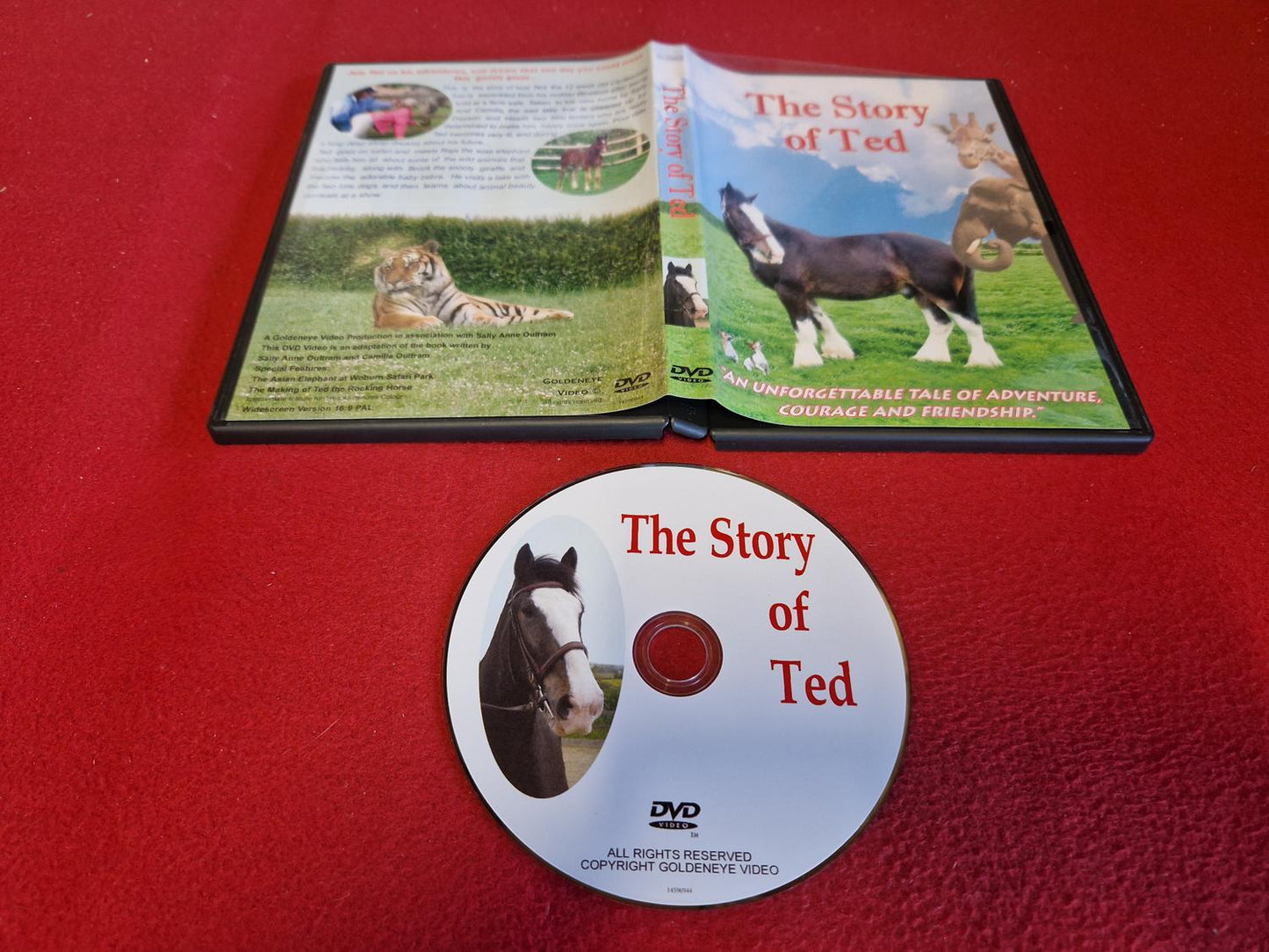 THE STORY OF TED till DVD