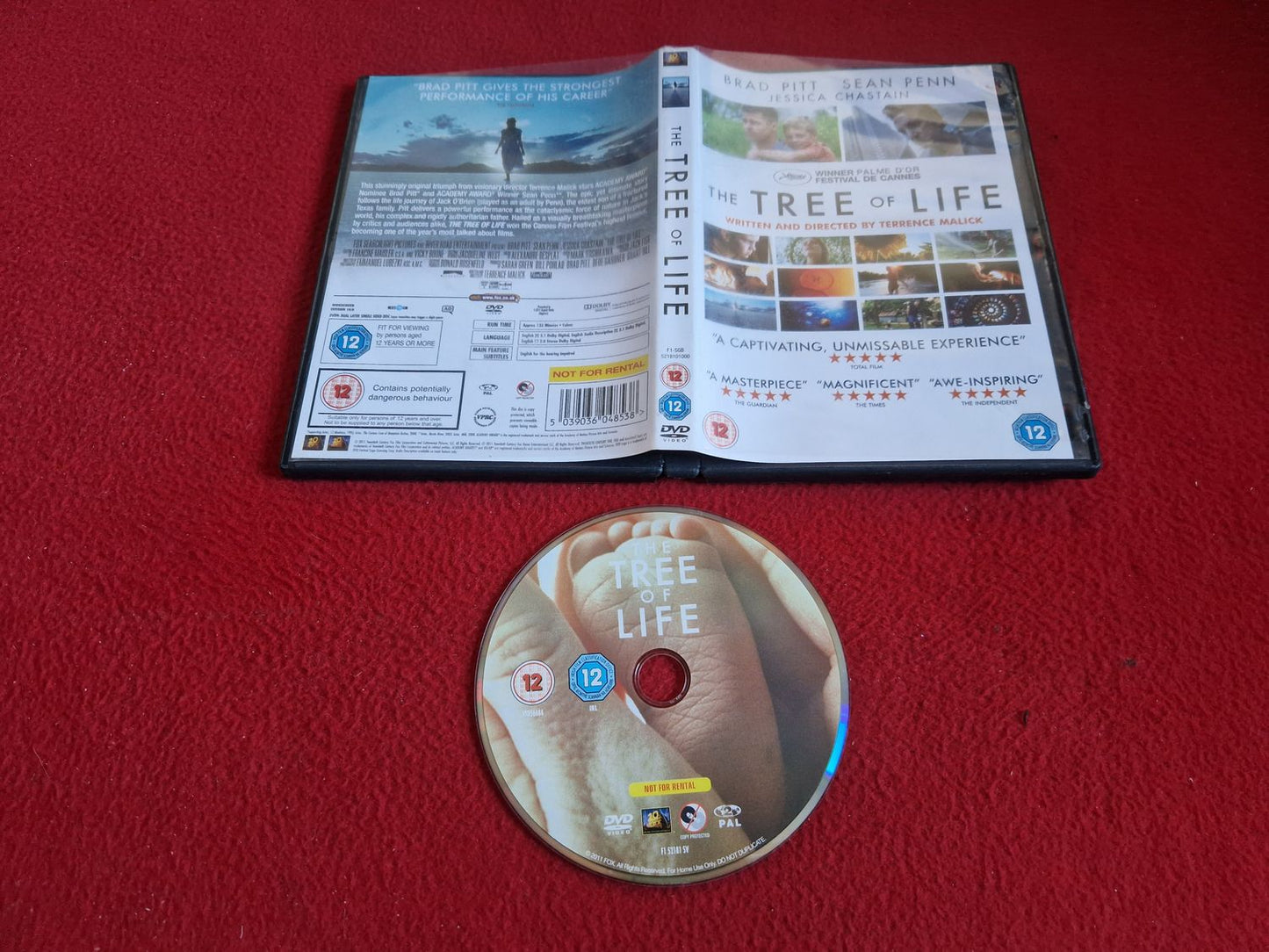 THE TREE OF LIFE DVD
