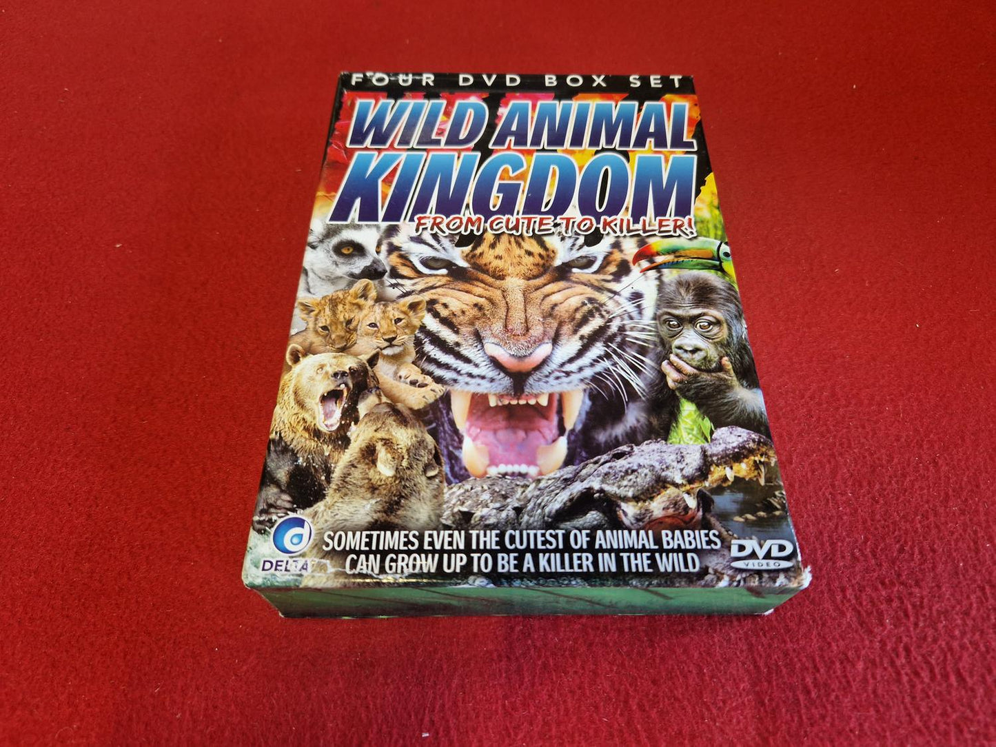 WILD ANIMAL KINGDOM FROM CUTE TO KILLER BOX till DVD