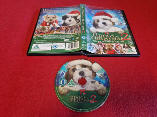12 DOGS OF CHRISTMAS 2 till DVD
