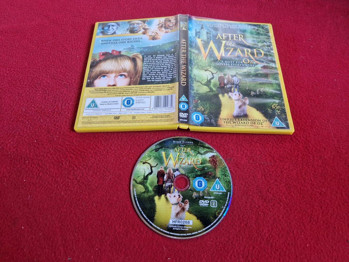 AFTER THE WIZARD DVD