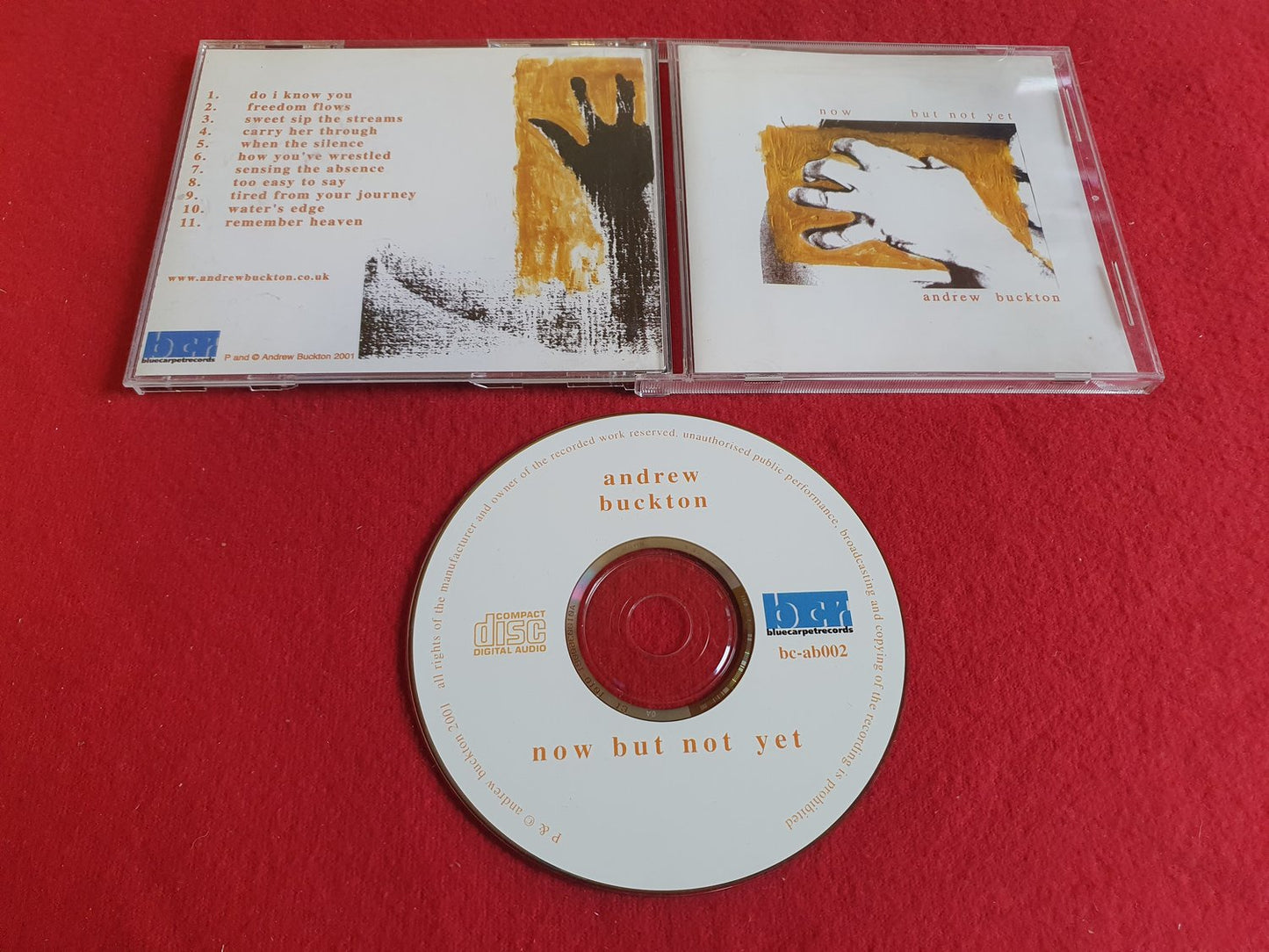 ANDREA BUCKTON NOW BUT NOT YET till CD