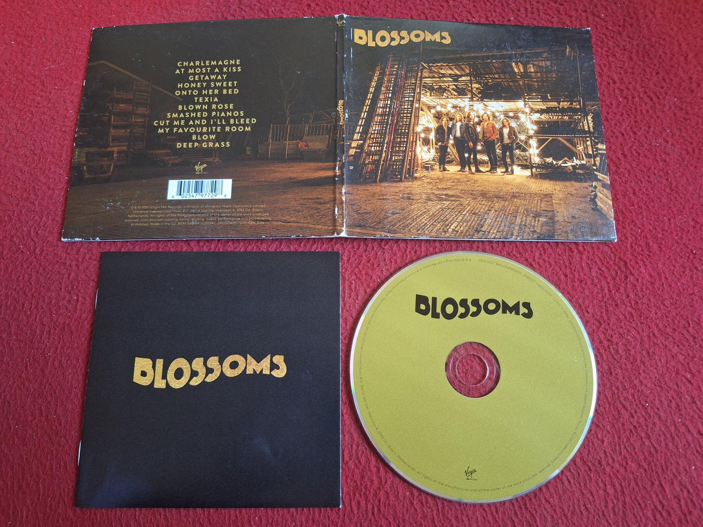 BLOSSOMS - BLOSSOMS CD