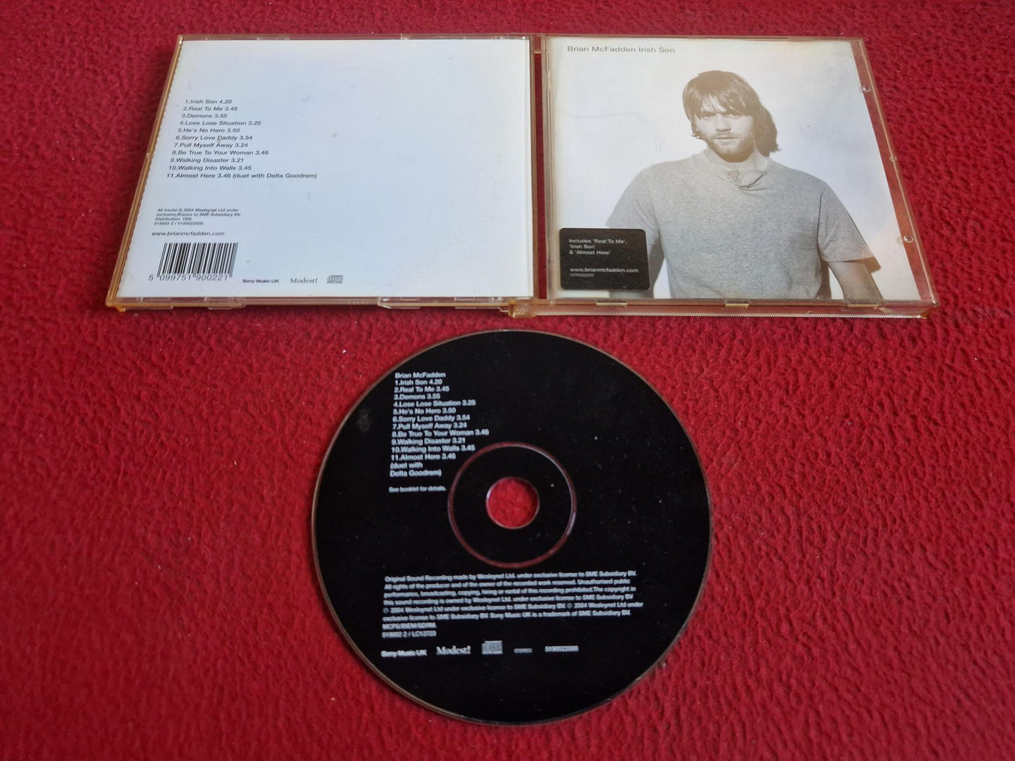 BRIAN MCFADDEN IRISH SON CD