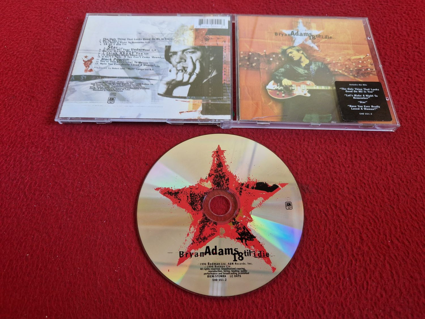 BRYAN ADAMS 18 TIL I DIE CD