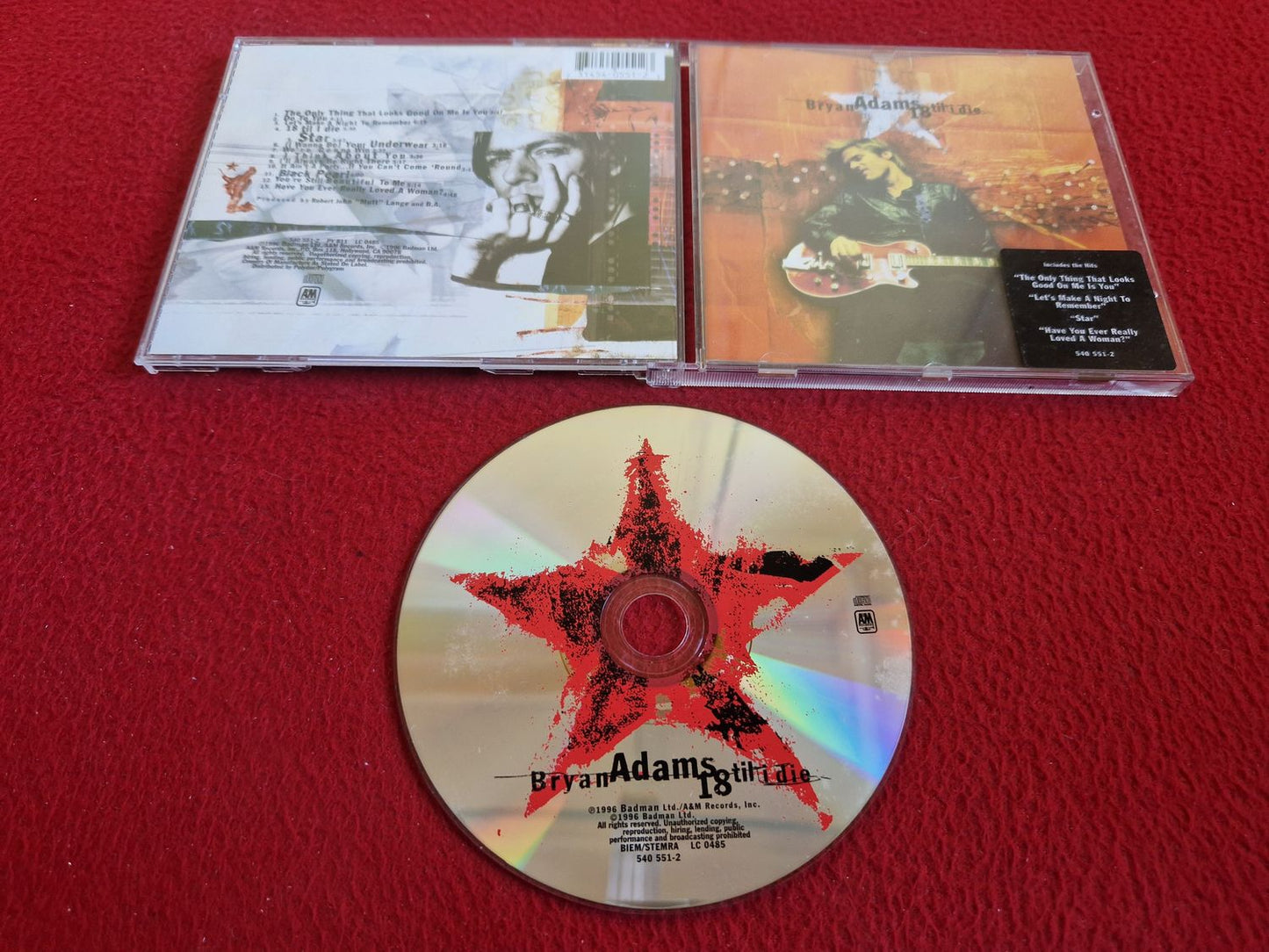 BRYAN ADAMS 18 TIL I DIE CD