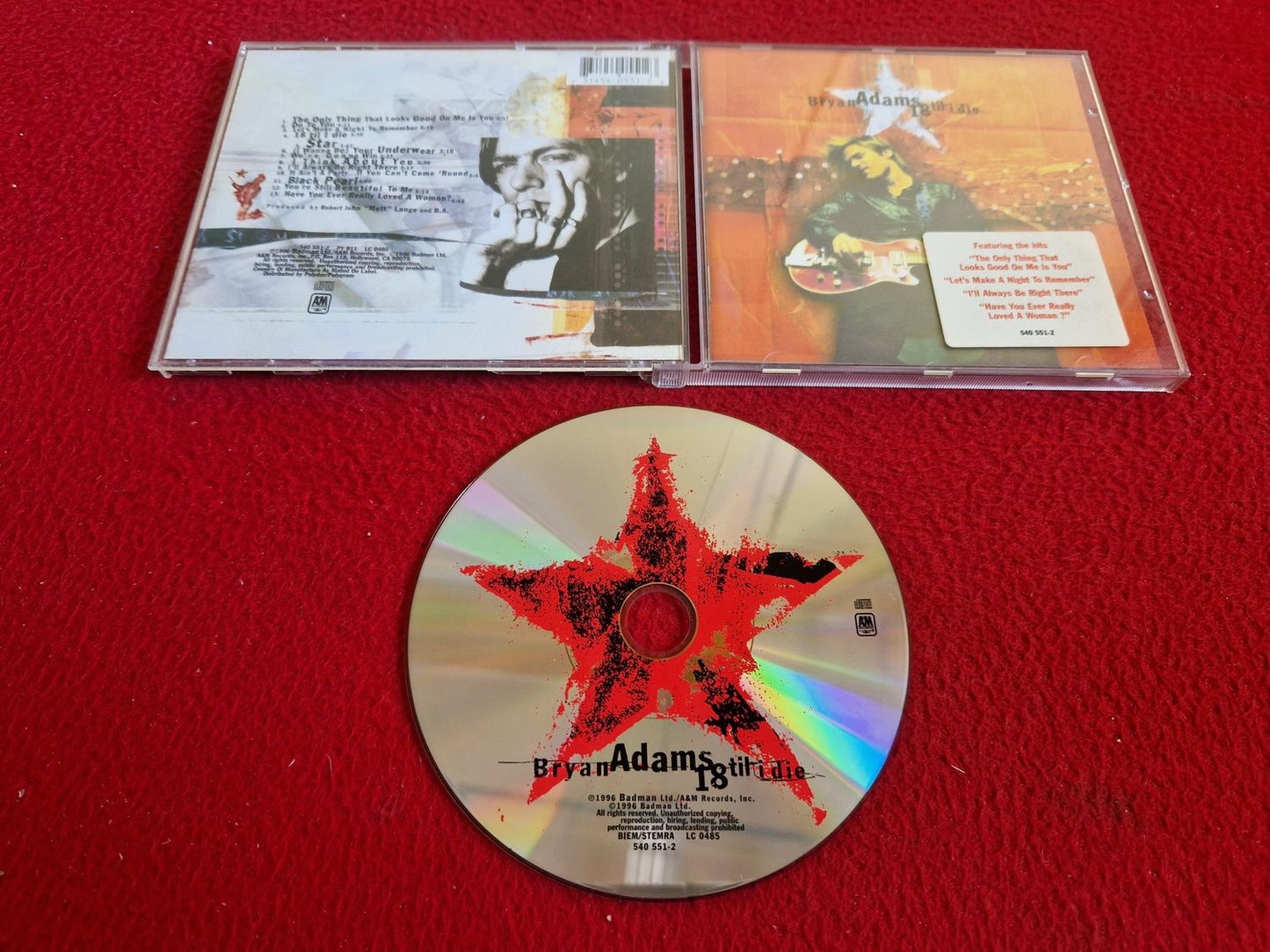 BRYAN ADAMS 18 TIL I DIE CD