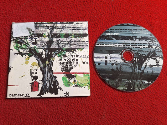 CALL TO MIND THE WINTER IS WHITE CD