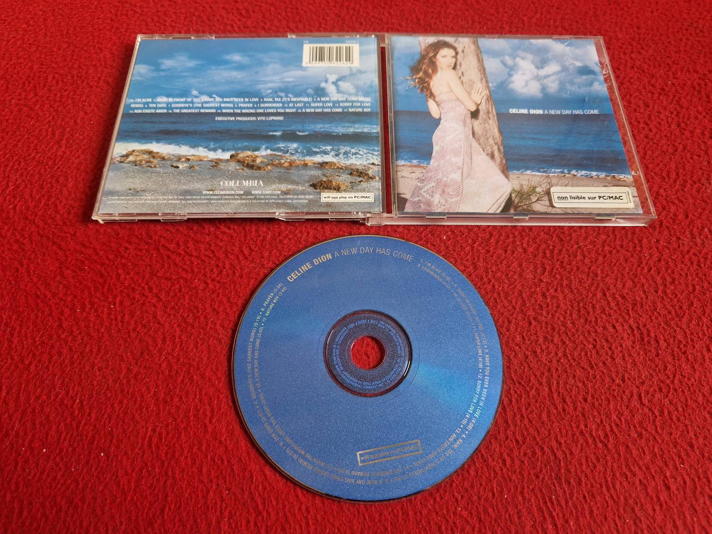 CELINE DION A NEW DAY HAS COME CD