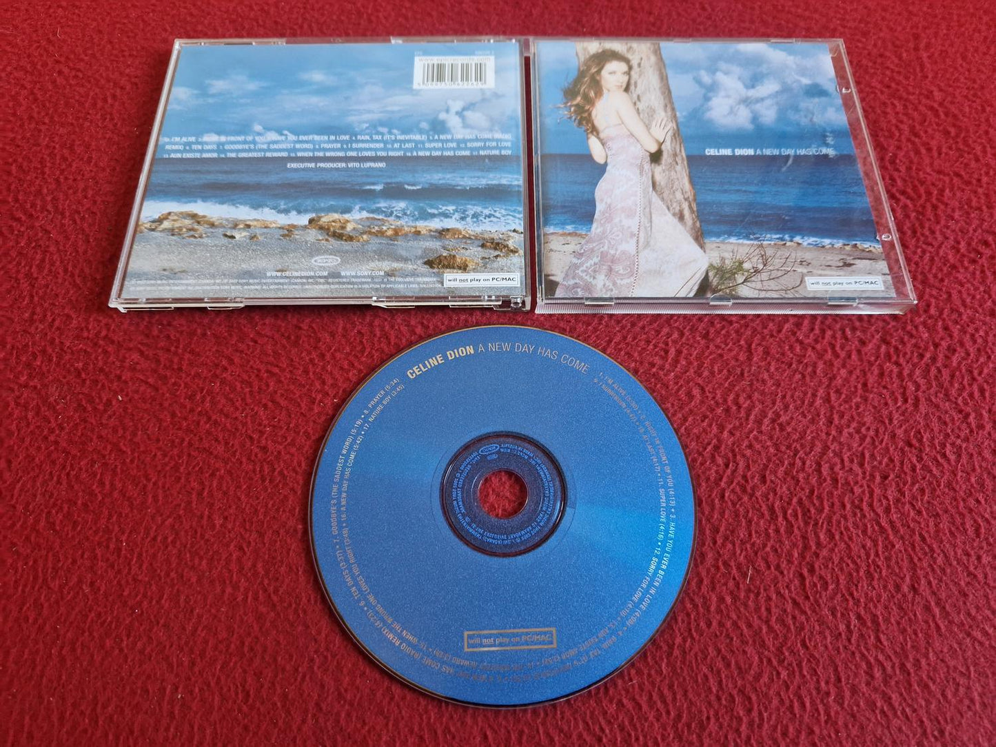 CELINE DION A NEW DAY HAS COME CD