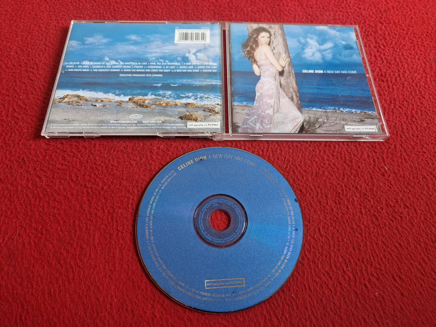 CELINE DION A NEW DAY HAS COME CD