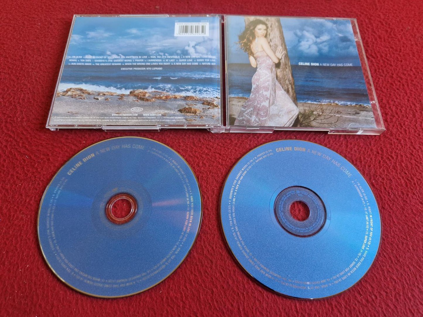 CELINE DION A NEW DAY HAS COME CD