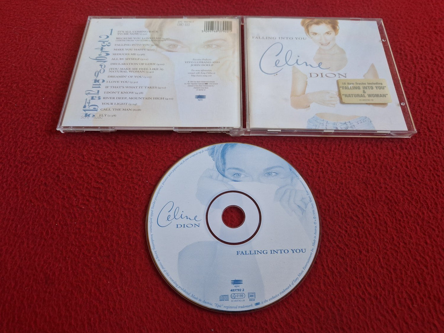 CELINE DION FALLING INTO YOU CD
