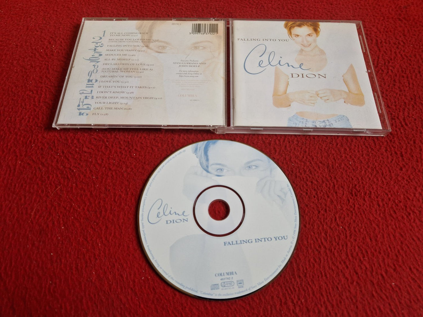 CELINE DION FALLING INTO YOU CD