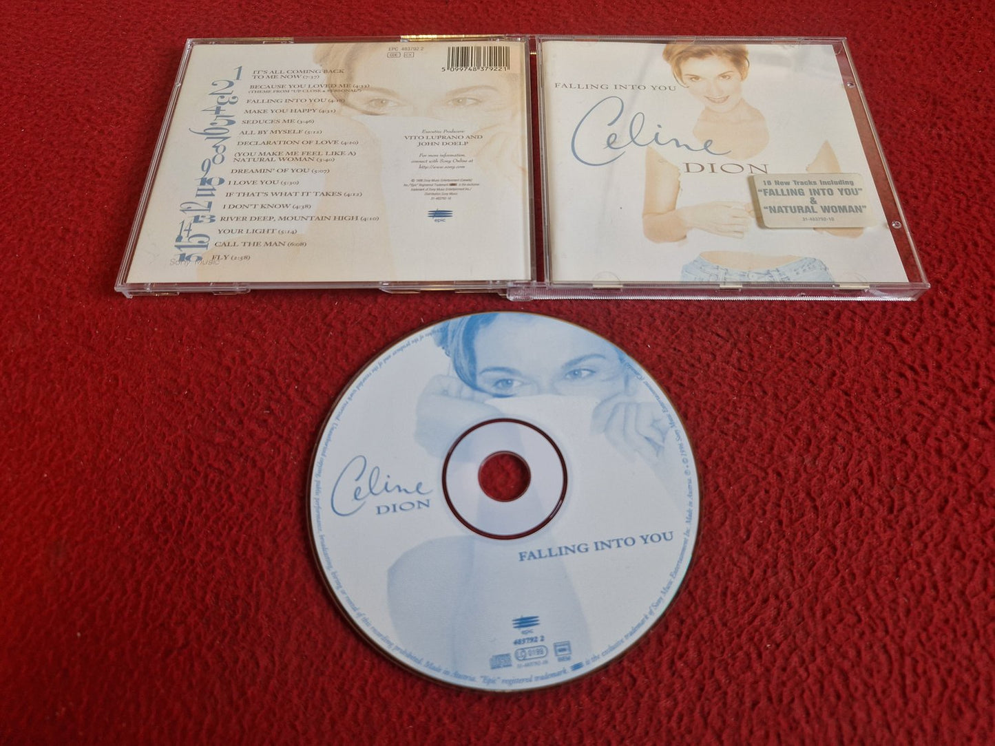 CELINE DION FALLING INTO YOU CD