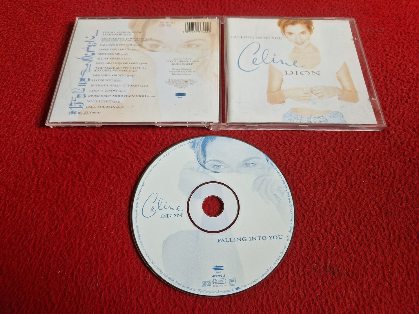 CELINE DION FALLING INTO YOU CD