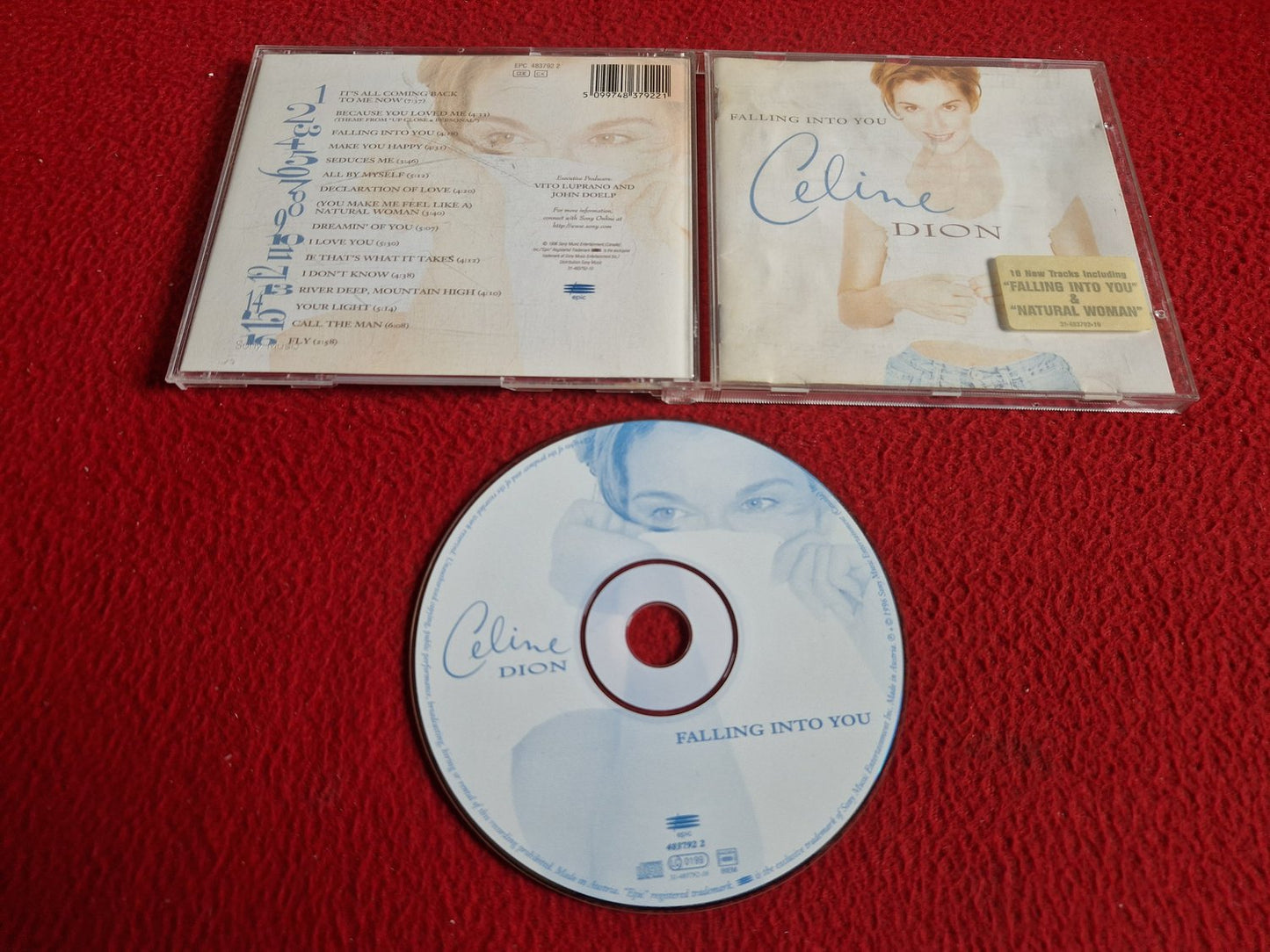 CELINE DION FALLING INTO YOU CD