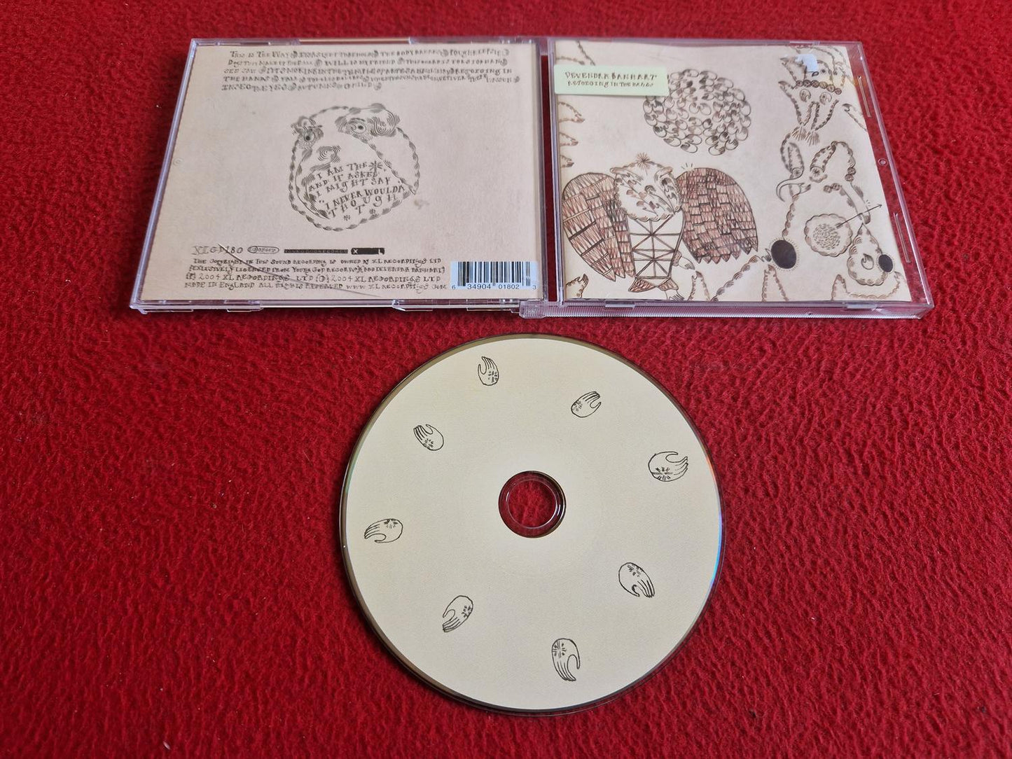 DEVENDRA BANHART REJOICING IN THE HANDS  CD