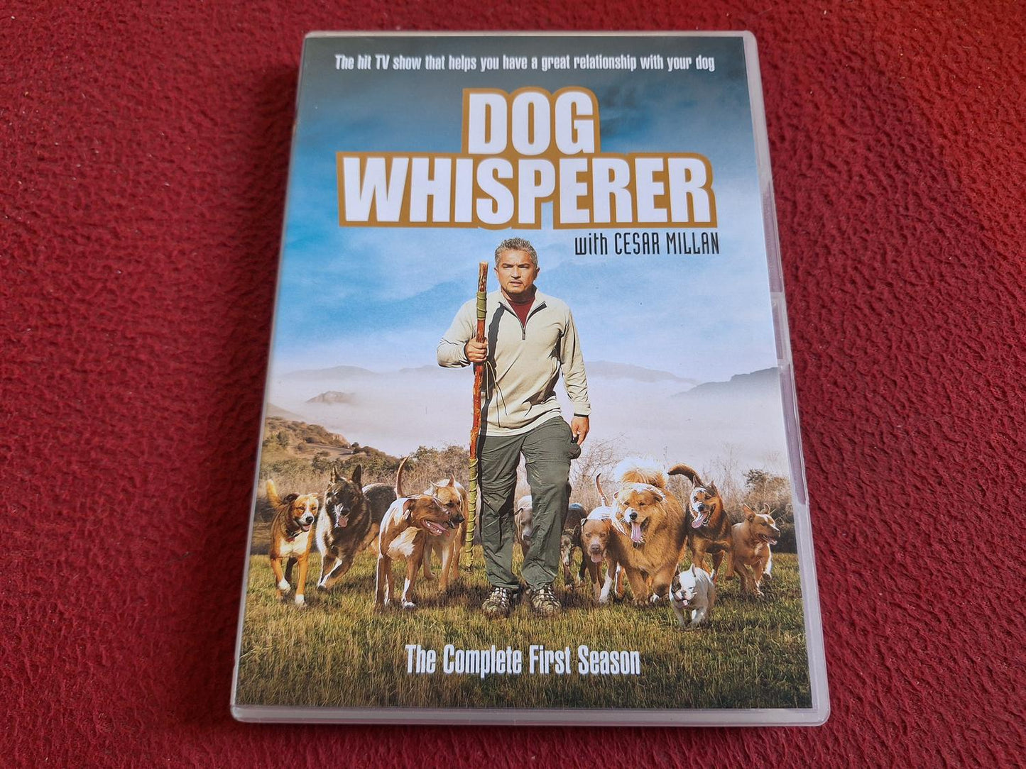 DOG WHISPERER SEASON 1 BOX DVD
