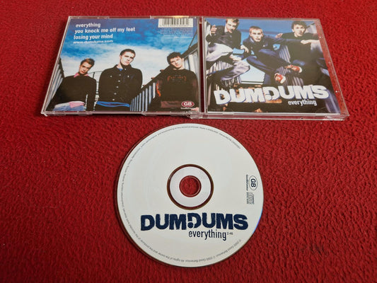 DUMDUMS EVERYTHING CD