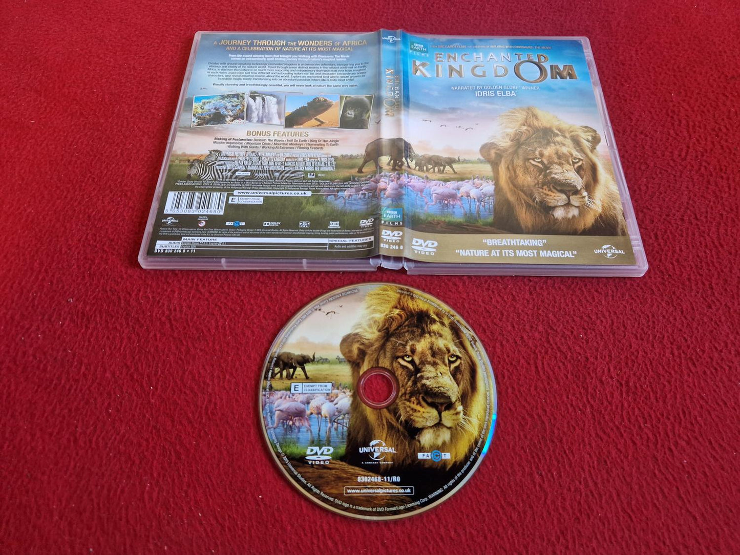 ENCHANTED KINGDOM DVD