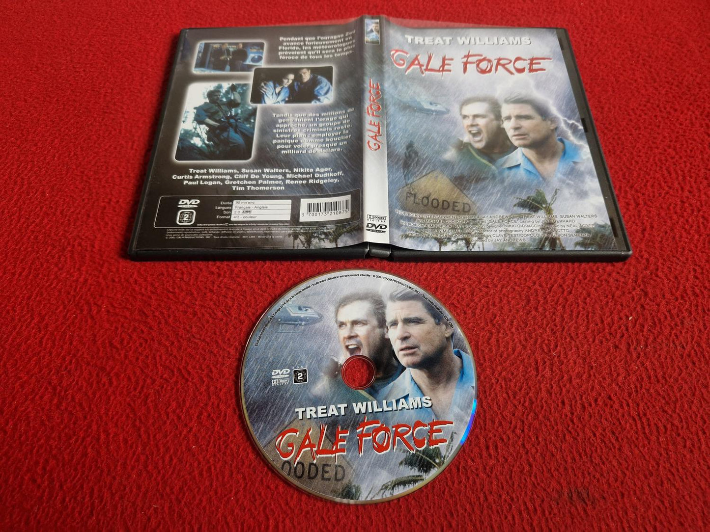 GALE FORCE [ ENGELSKT ELLER FRANSKT TAL ] DVD