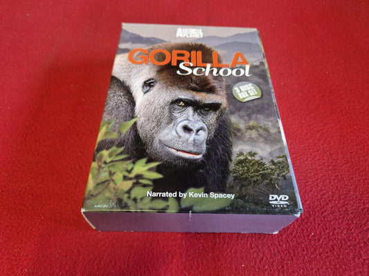 GORILLA SCHOOL BOX till DVD