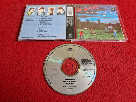 MR. MISTER WELCOME TO THE REAL WORLD CD
