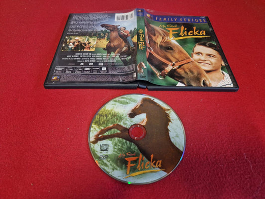 MY FRIEND FLICKA till DVD