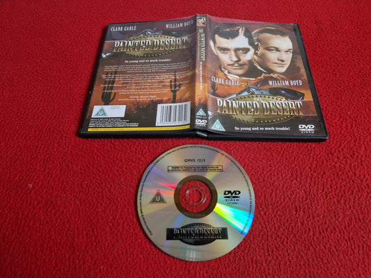 PAINTED DESERT DVD