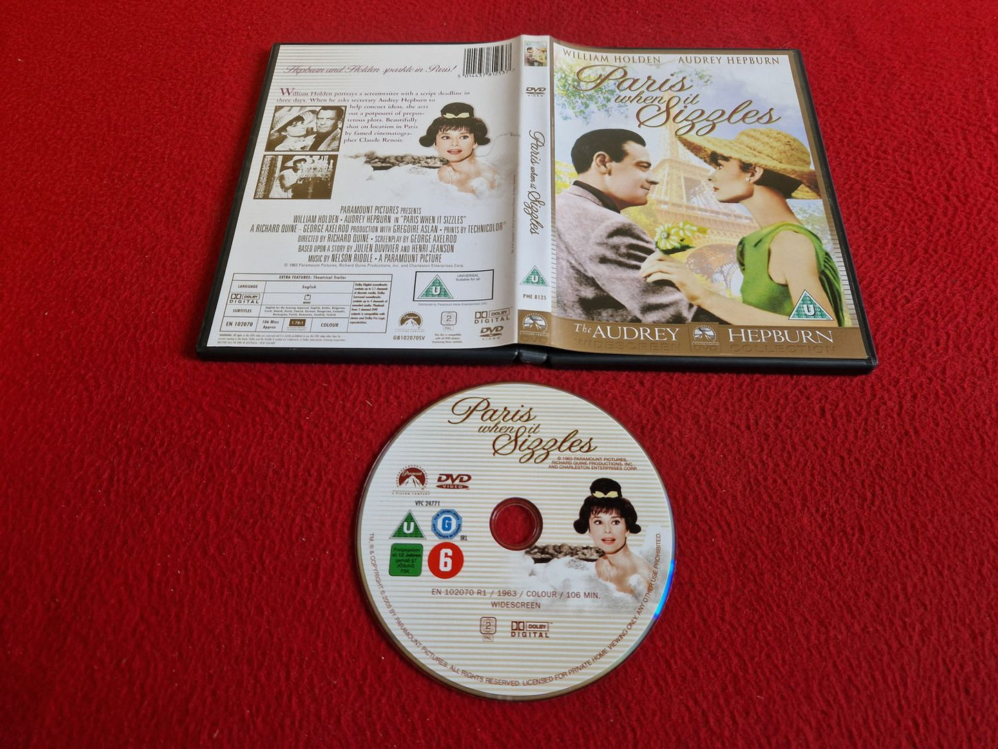 PARIS WHEN IT SIZZLES DVD