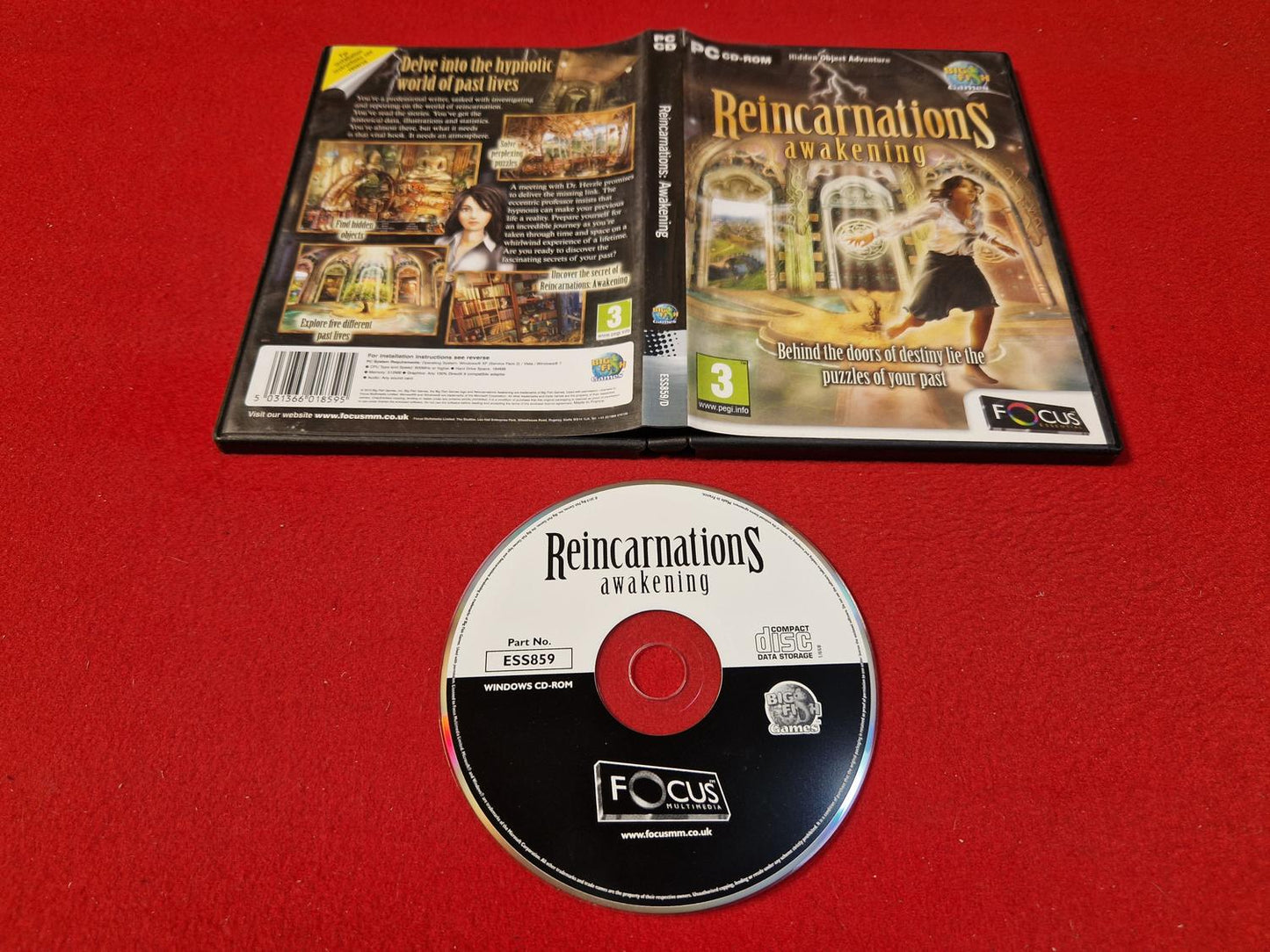 REINCARNATIONS AWAKENING till PC