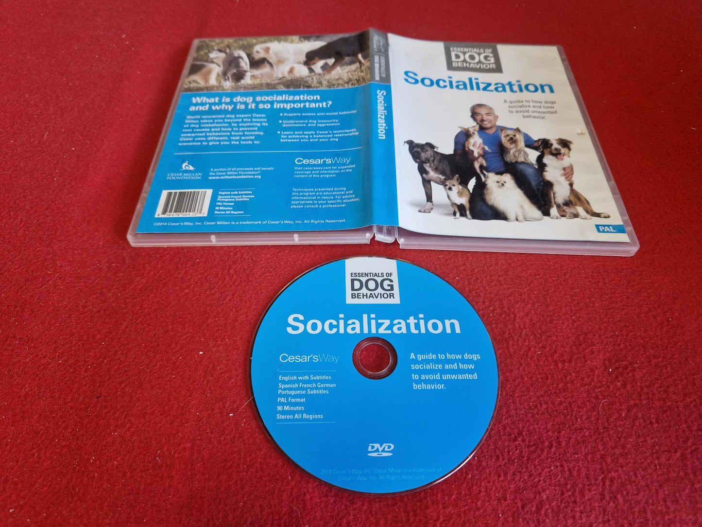 SOCIALIZATION till DVD