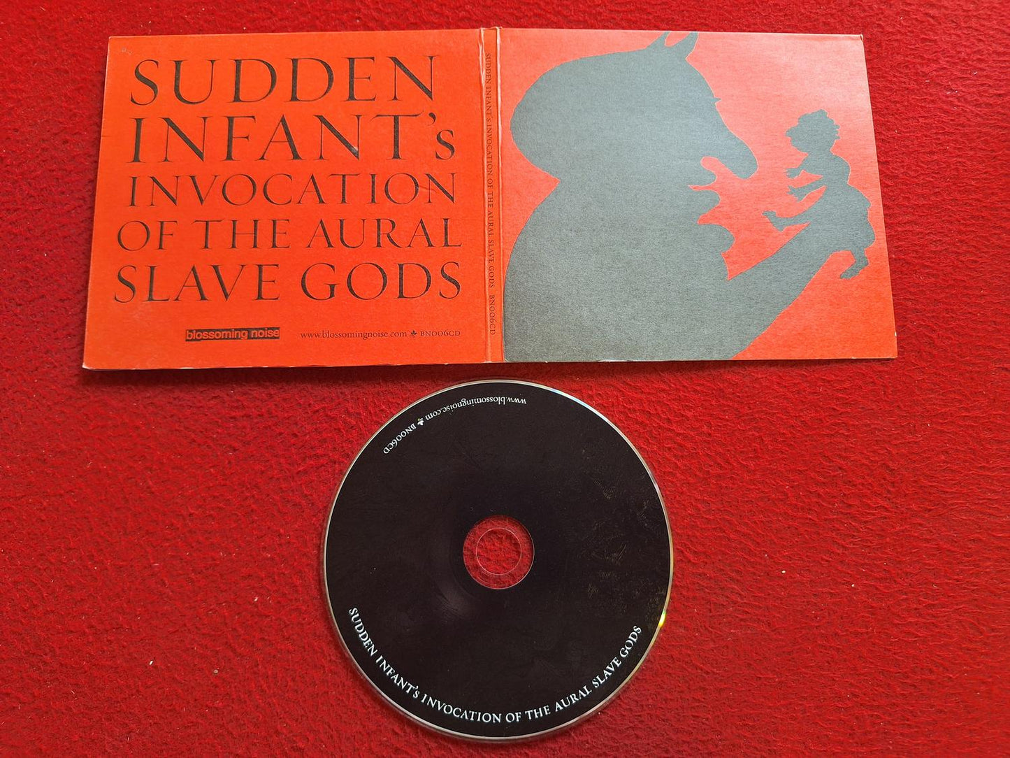 SUDDEN INFANT INVOCATION OF THE AURAL SLAVE GODS CD