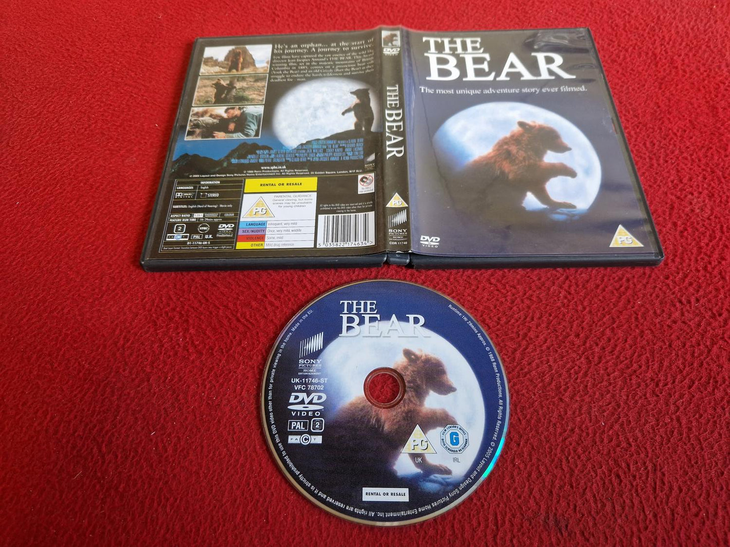 THE BEAR DVD