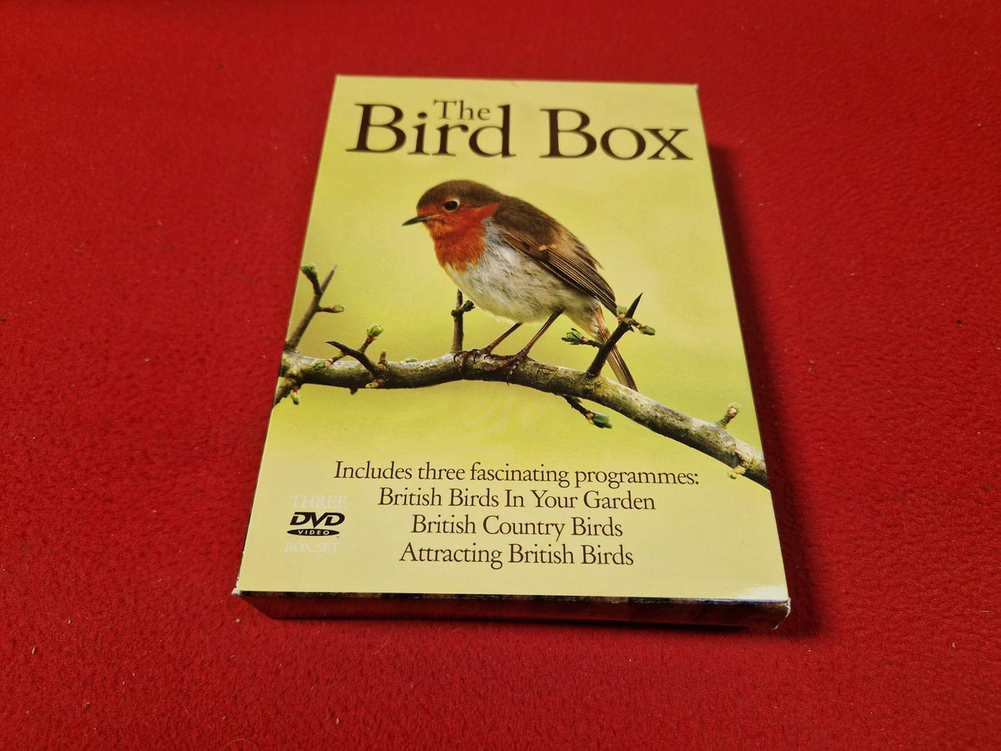 THE BIRD BOX till DVD