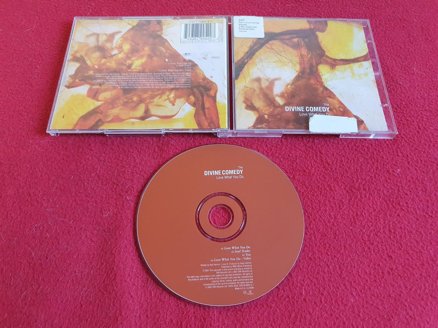 THE DIVINE COMEDY LOVE WHAT YOU DO till CD